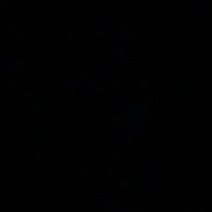 Meet your Posher, Aliya